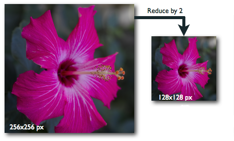Image resizing in action. 